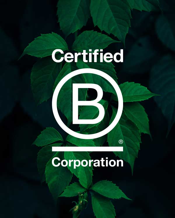 B Corp logo with leaves
