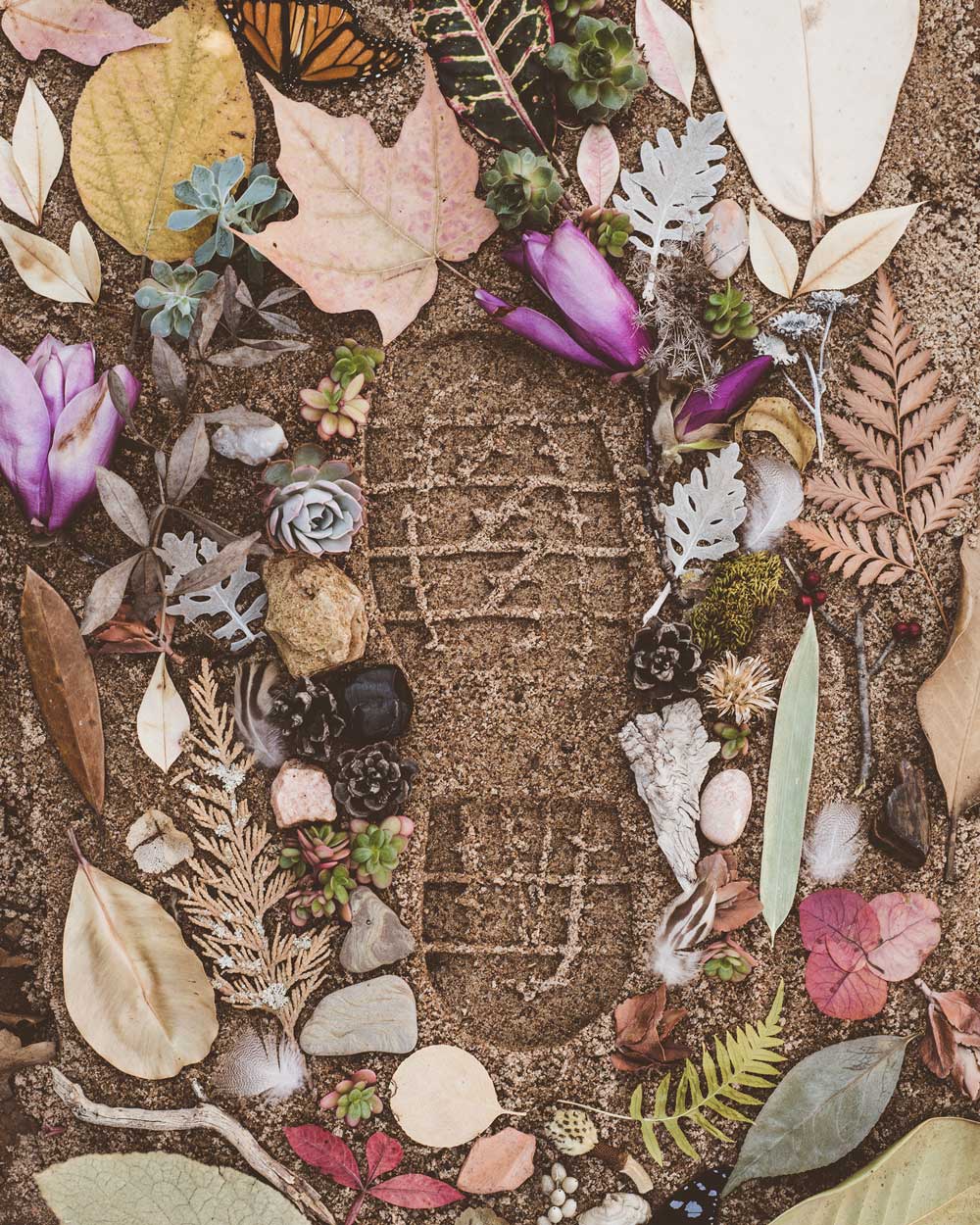 Footprint in the sand surrounded by flowers